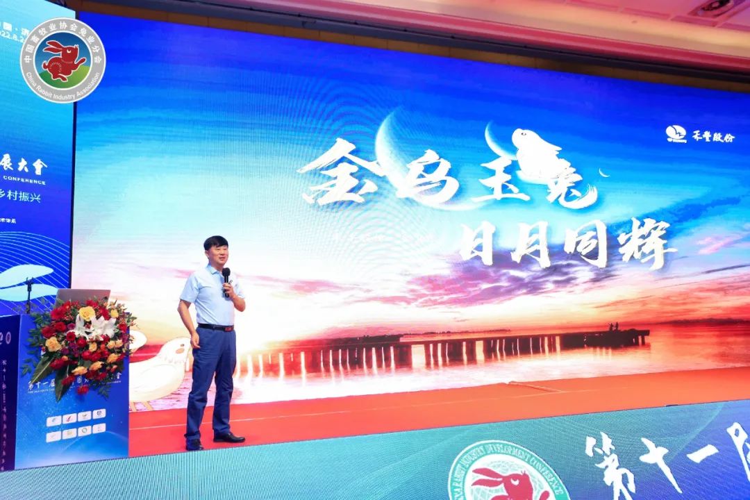 白羽肉鸡利润较好,禾丰股份前三季度业绩增长625%!