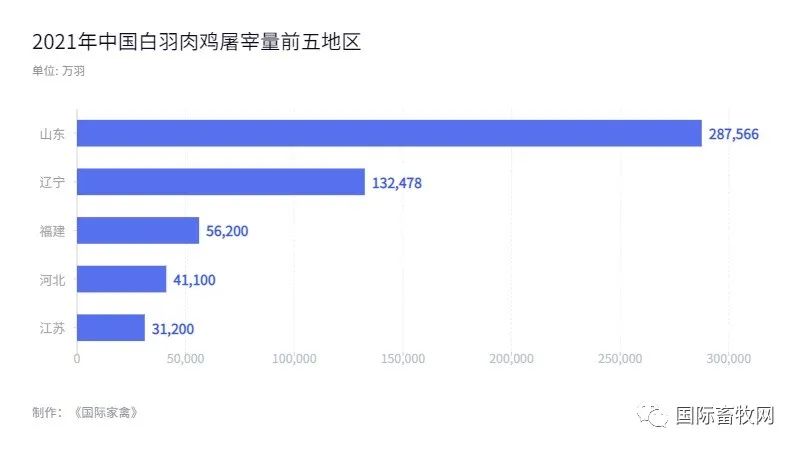 白羽肉鸡利润较好,禾丰股份前三季度业绩增长625%!