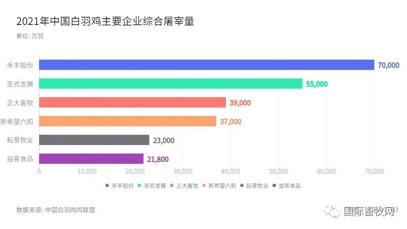 白羽肉鸡利润较好,禾丰股份前三季度业绩增长625%!