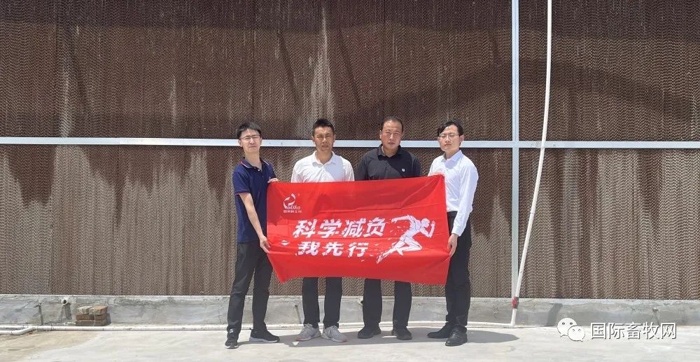 专访山东省合晟家禽有限公司