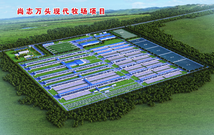 总投5.5亿!黑龙江尚志市万头现代牧场项目正式开工建设