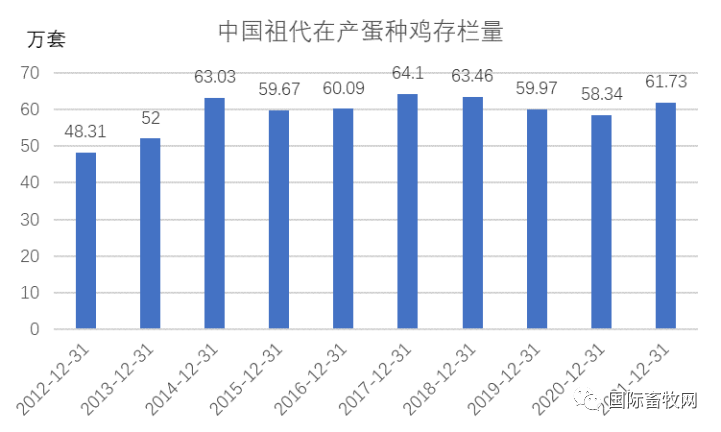 突发!邻国日本、印度相继暴发禽流感,将扑杀36万只鸡