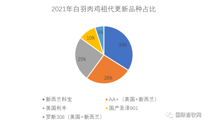 突发!邻国日本、印度相继暴发禽流感,将扑杀36万只鸡