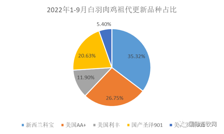 突发!邻国日本、印度相继暴发禽流感,将扑杀36万只鸡