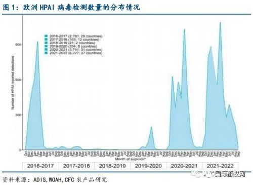 突发!邻国日本、印度相继暴发禽流感,将扑杀36万只鸡