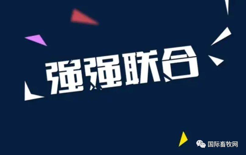 强强联合!益客食品拟与华英农业共设合资公司