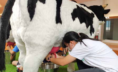 石埠乳业：产业融合发展新星！开启万头奶牛新故事！