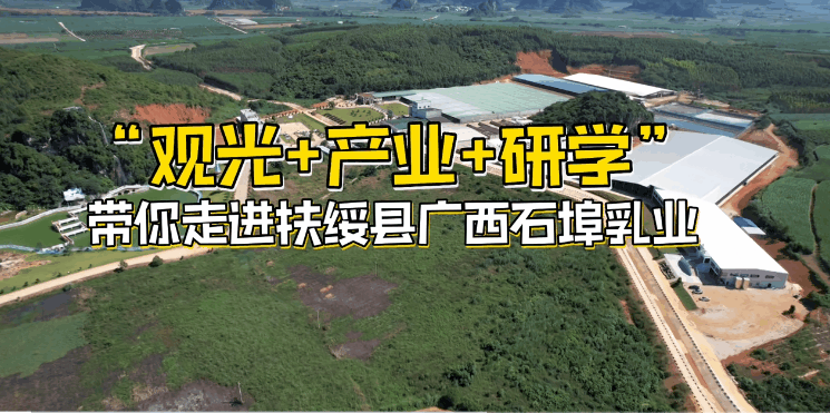 石埠乳业：产业融合发展新星！开启万头奶牛新故事！