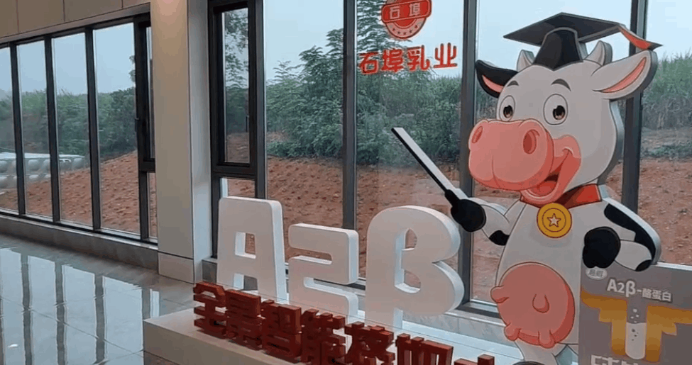 石埠乳业：产业融合发展新星！开启万头奶牛新故事！