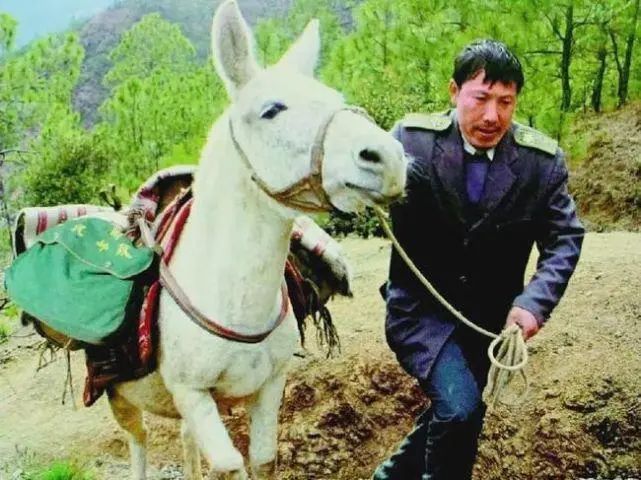 供销社,你回来干什么?