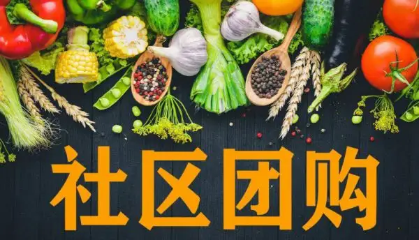 供销社,你回来干什么?