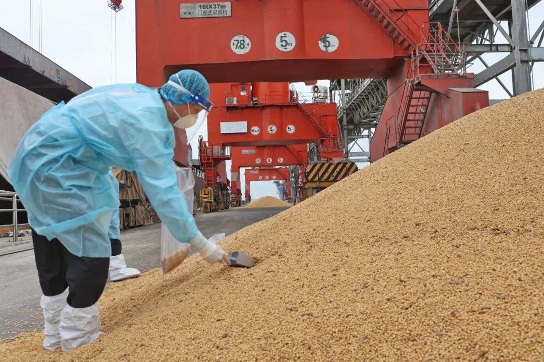 为什么俄罗斯粮食很少卖给中国，占比不到10%？