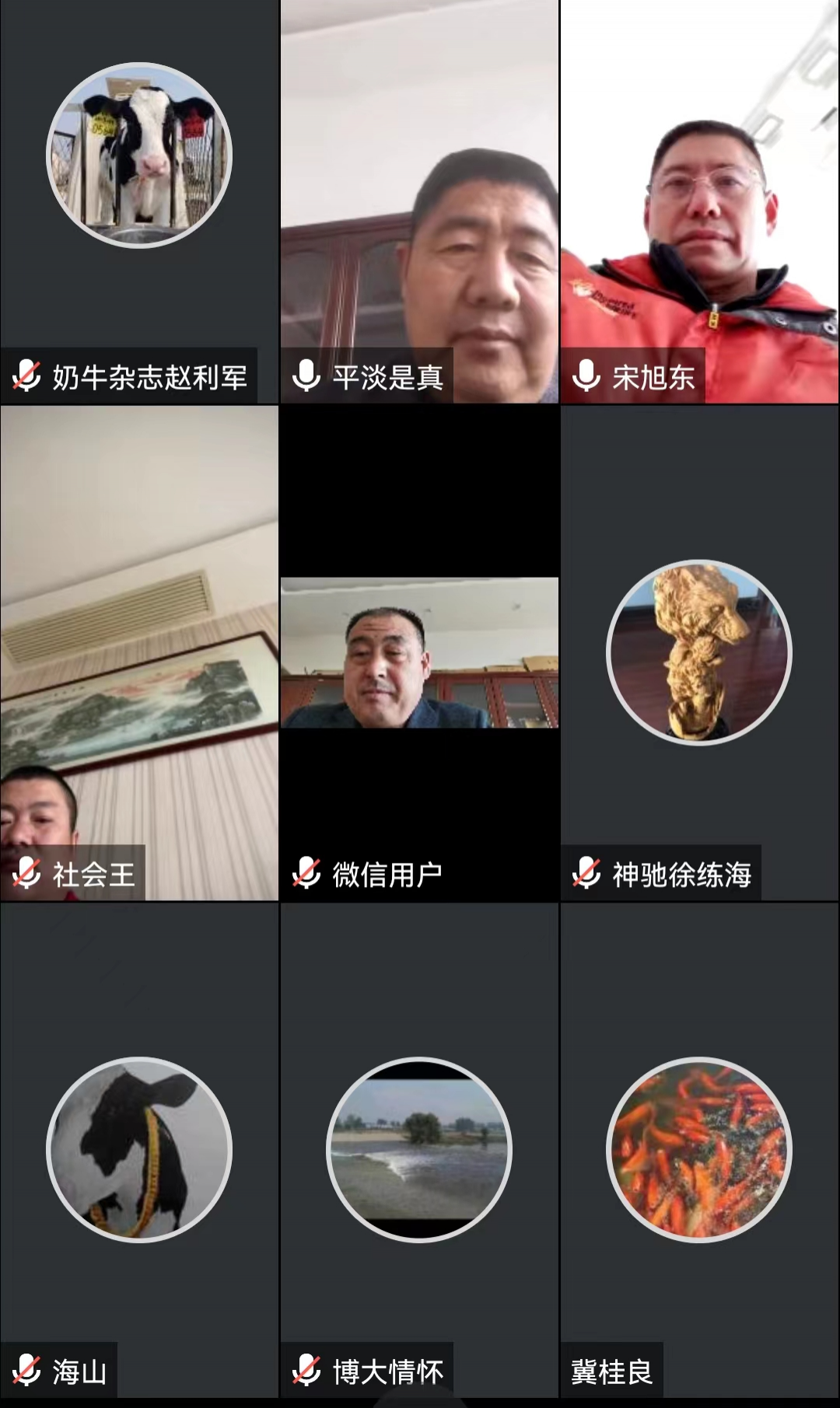 卖牛维持养牛,控成本提单产,牧场如何生存?