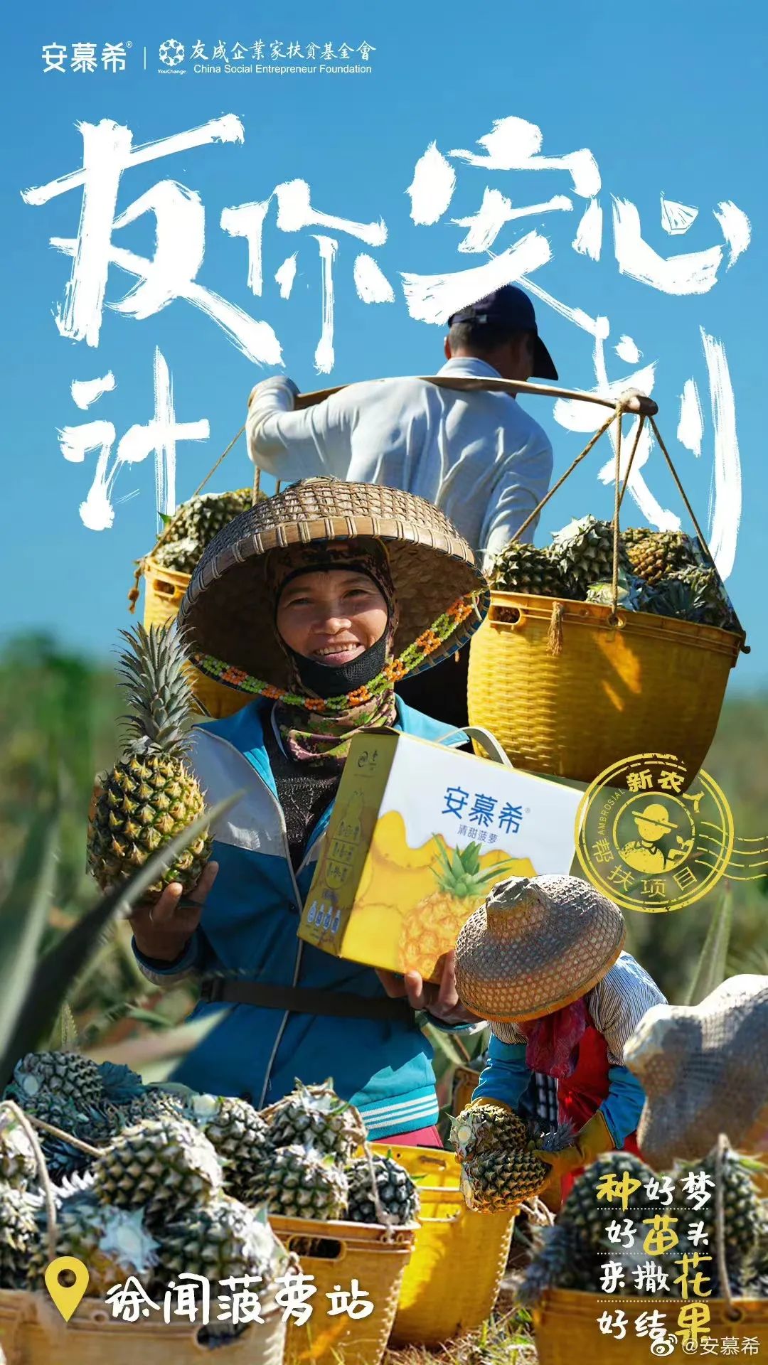 入乡不随俗，安慕希的变与不变
