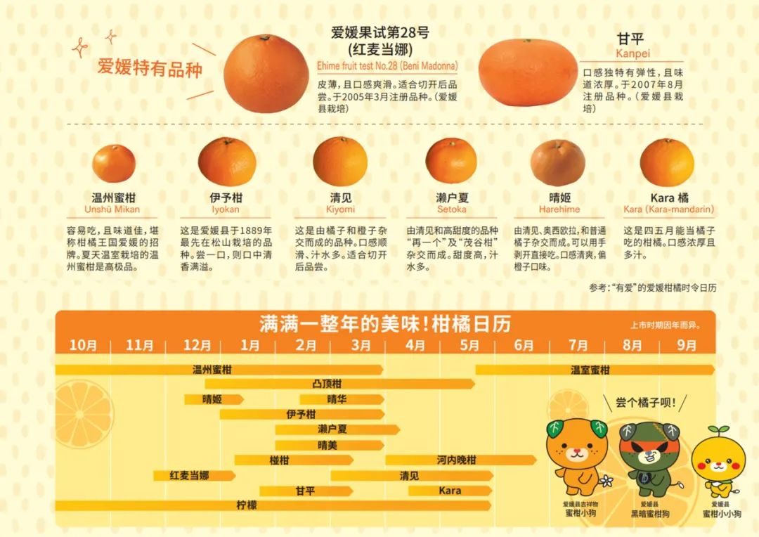 入乡不随俗，安慕希的变与不变