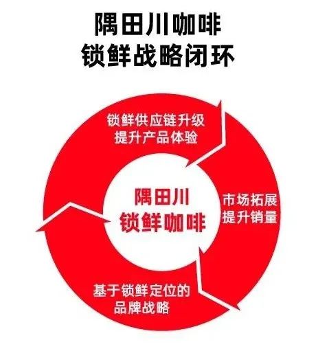 隅田川咖啡CMO：操盘两年从1到10，万字解读我眼中的品牌与增长