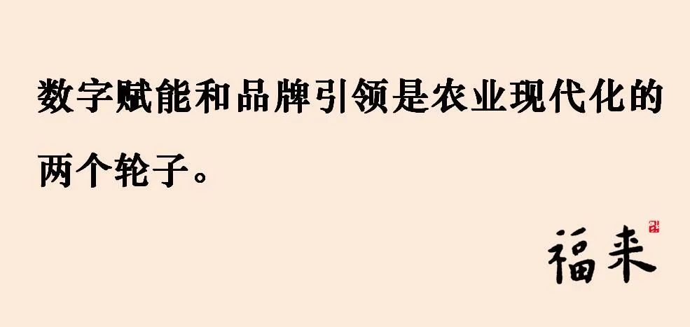 娄向鹏:数字赋能和品牌引领实现农业现代化双轮驱动