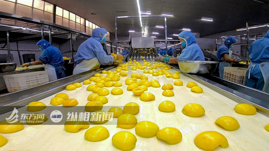“中国罐头第一镇”,承包三分之一的黄桃罐头