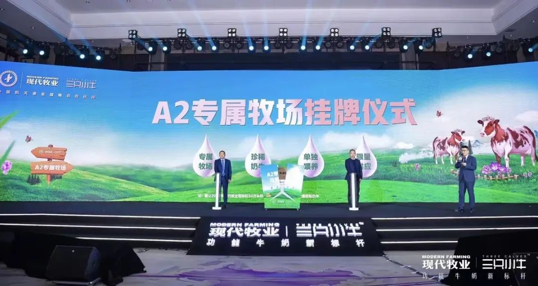 持续精耕A2牛奶赛道,三只小牛释放了怎样的行业讯号?