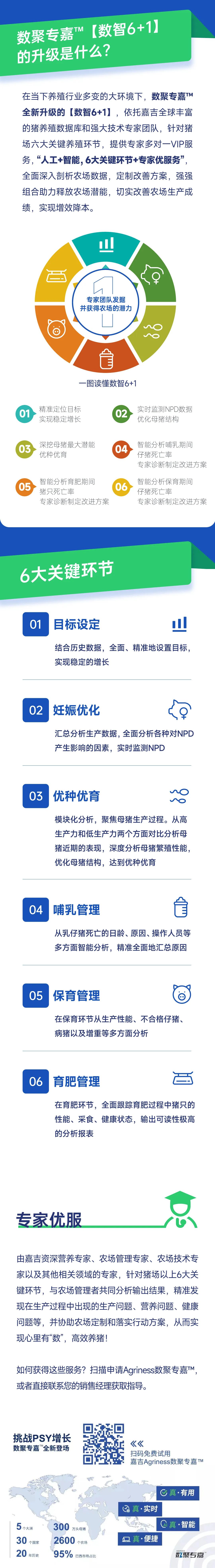 全新升级版高效养猪