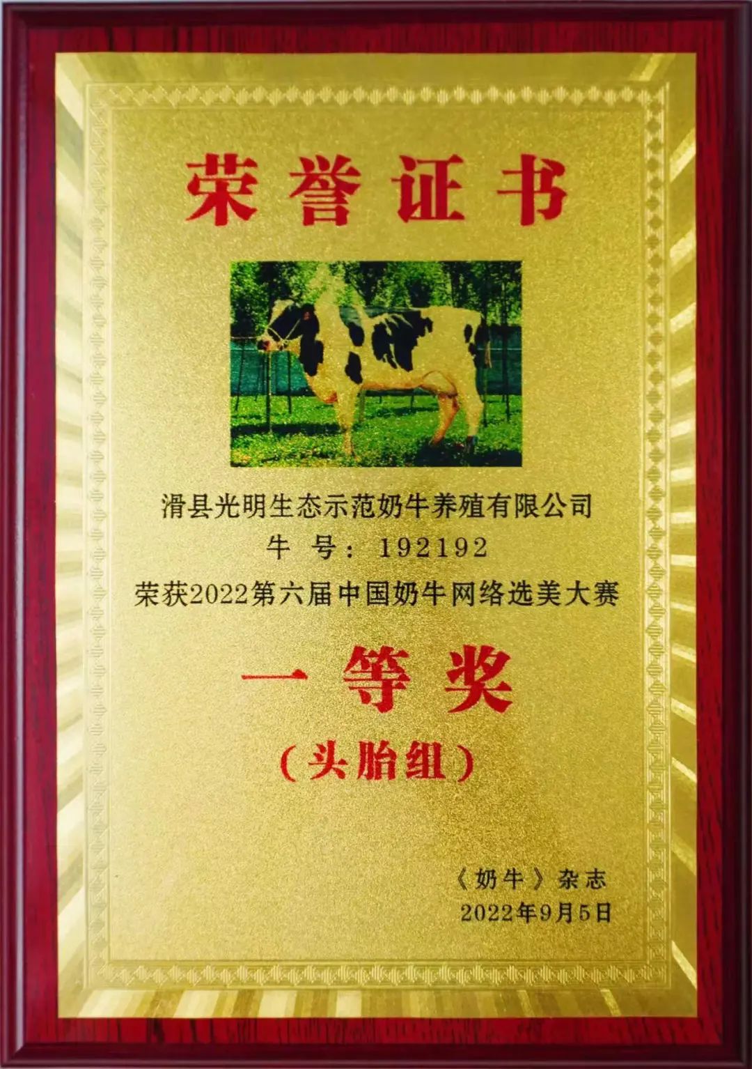 光明牧业“最美奶牛”再夺桂冠!