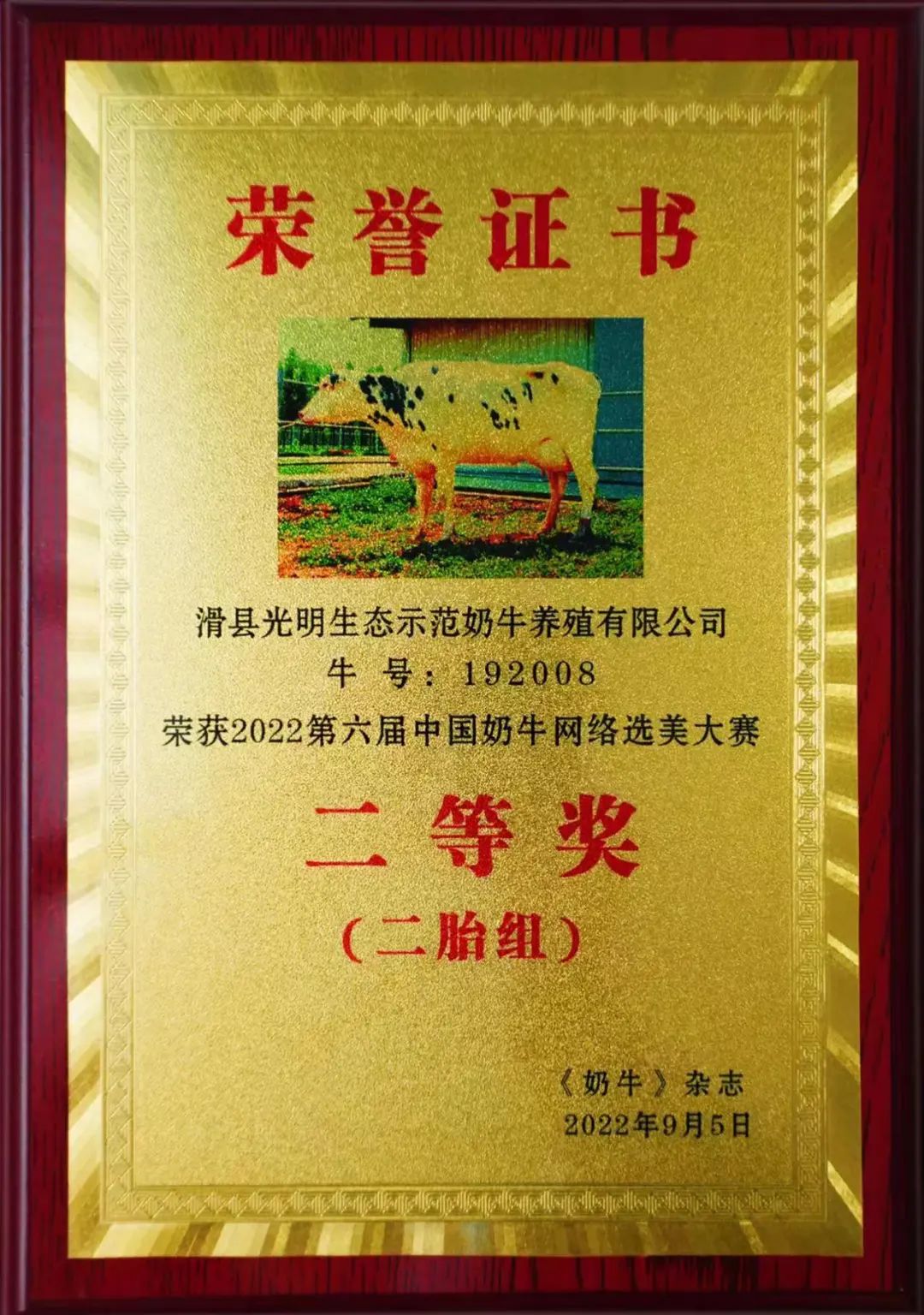 光明牧业“最美奶牛”再夺桂冠!