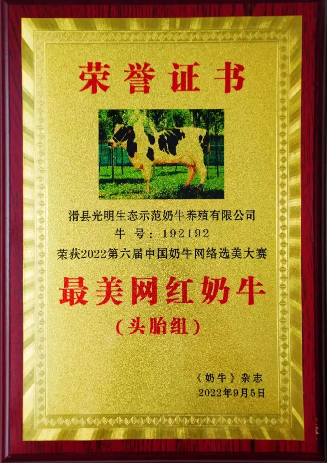 光明牧业“最美奶牛”再夺桂冠!