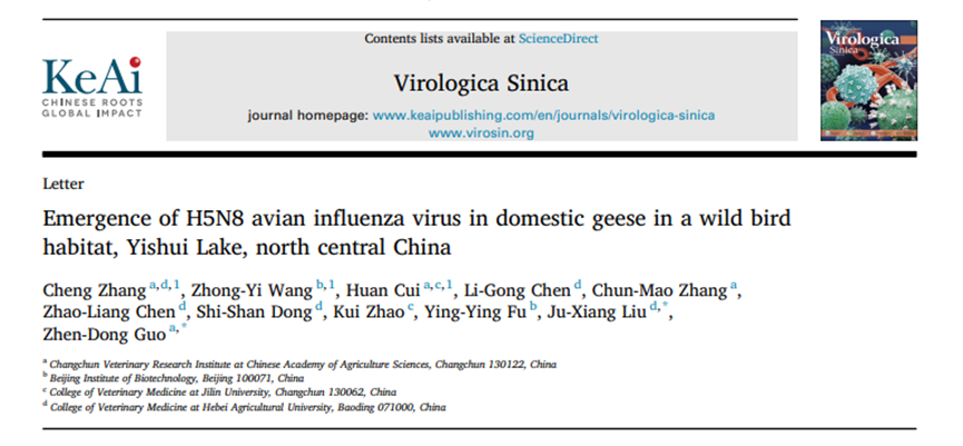 中国中北部家鹅中出现H5N8禽流感病毒
