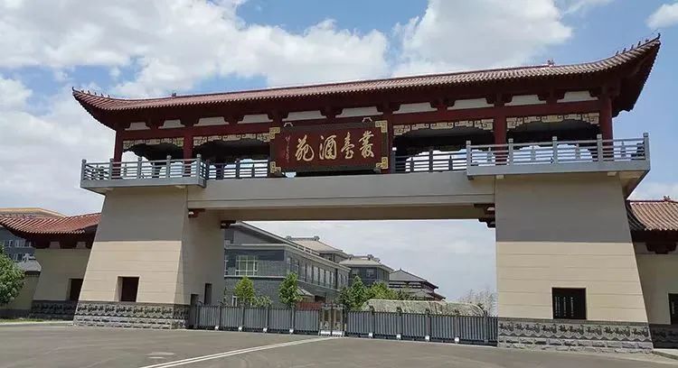 新年元旦大招聘如期举行,丛台意欲何为?