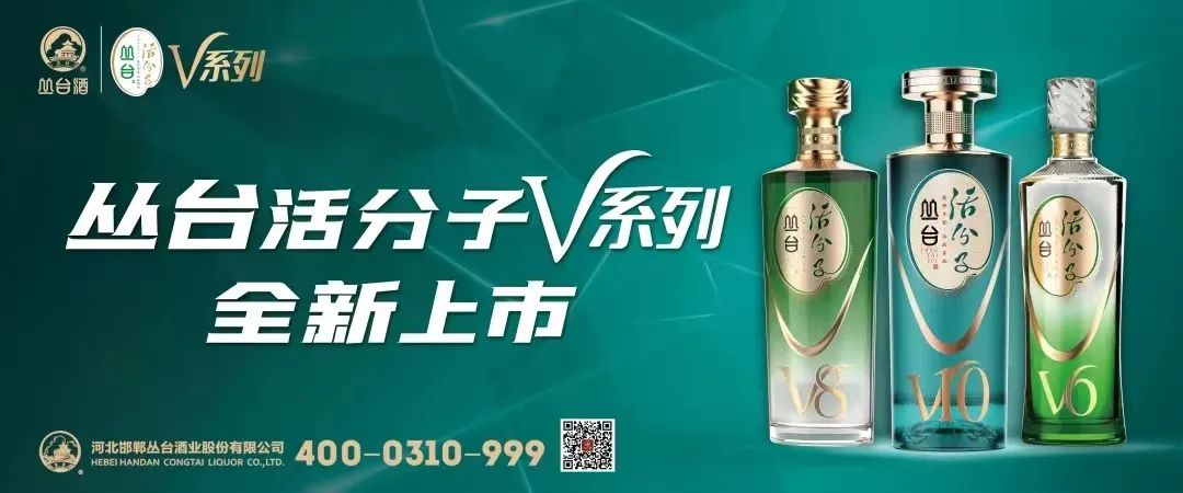 新年元旦大招聘如期举行,丛台意欲何为?