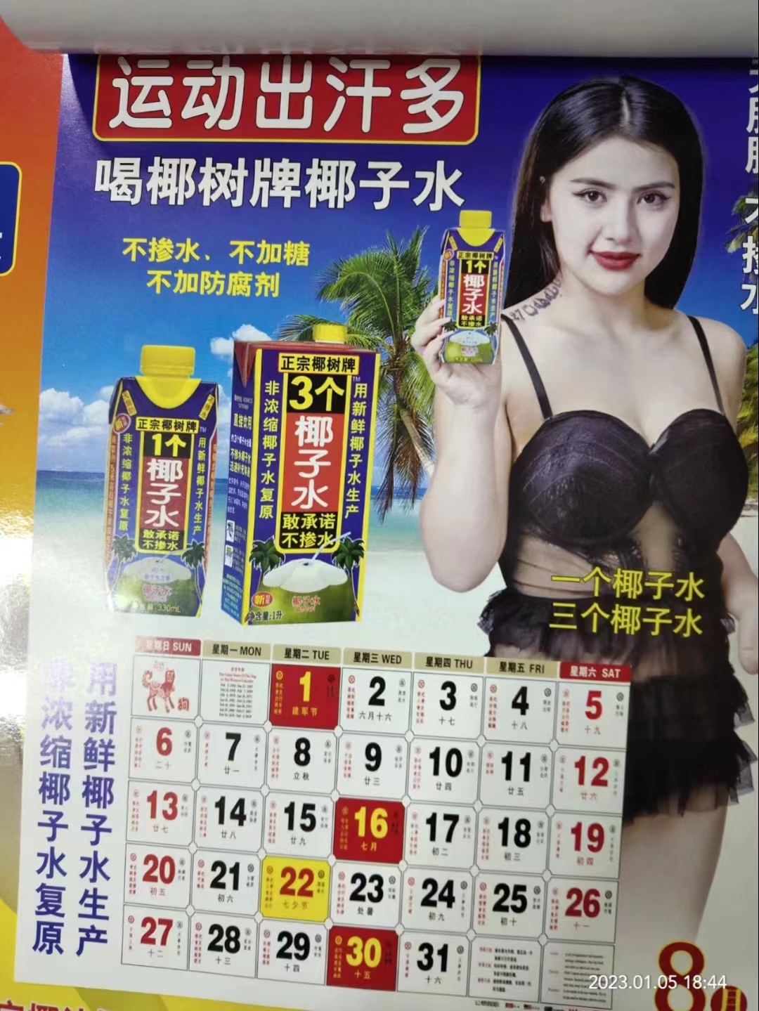 椰树35年挂历来了,网友大呼:不敢挂!