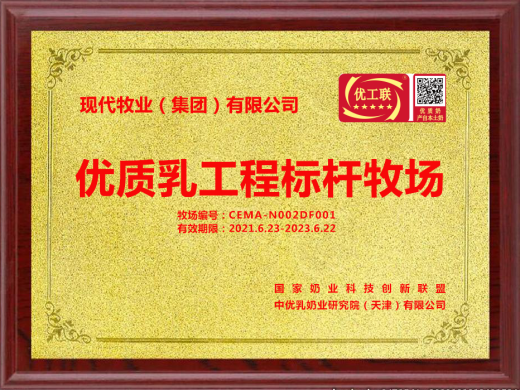 现代牧业：已布局规模牧场超50个、奶牛突破42万头