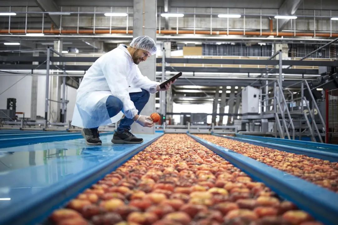 可持续性是2023年食品饮料行业首要趋势
