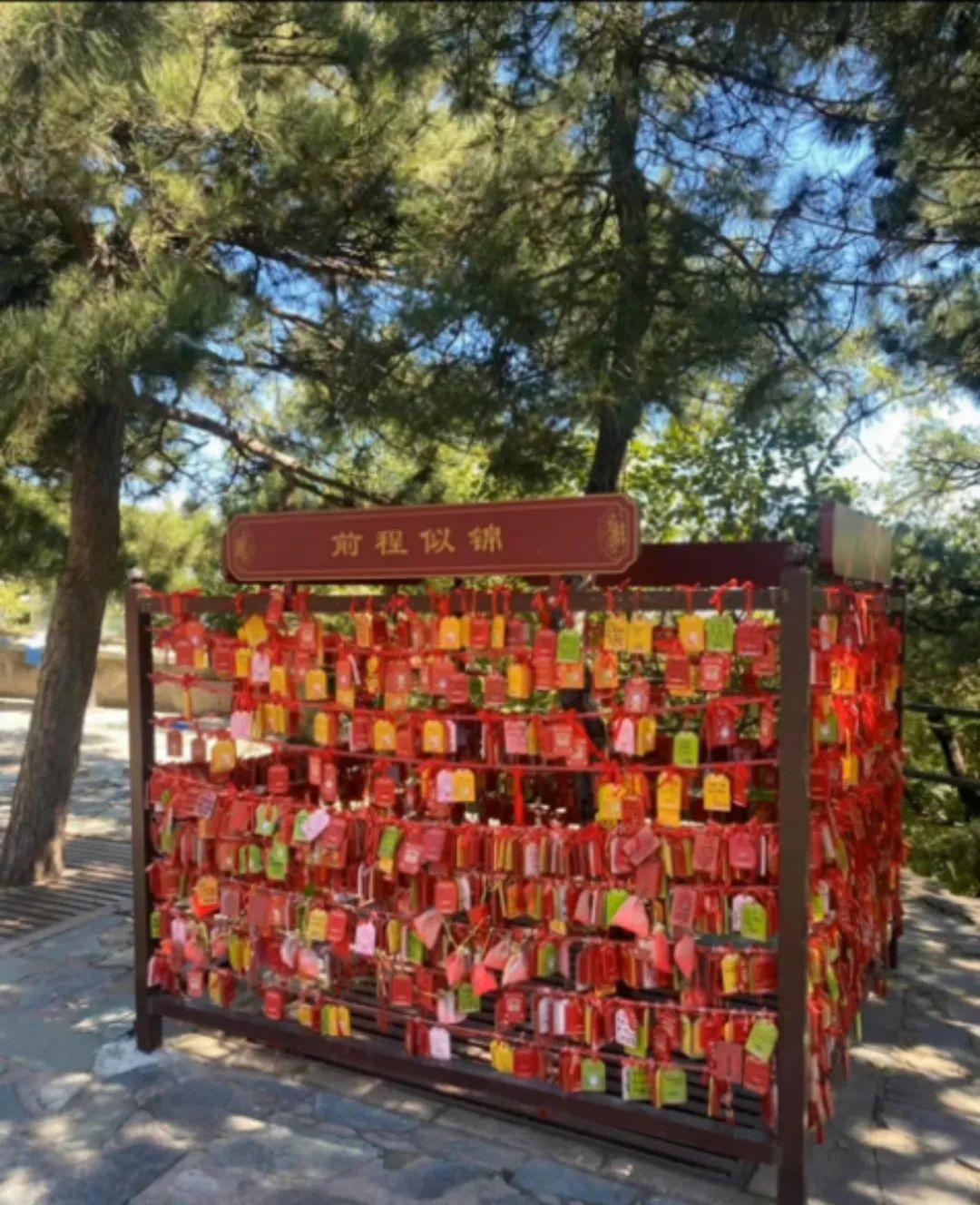 维他奶的兔年限定祝福,从消费者的情绪出发传递小美好