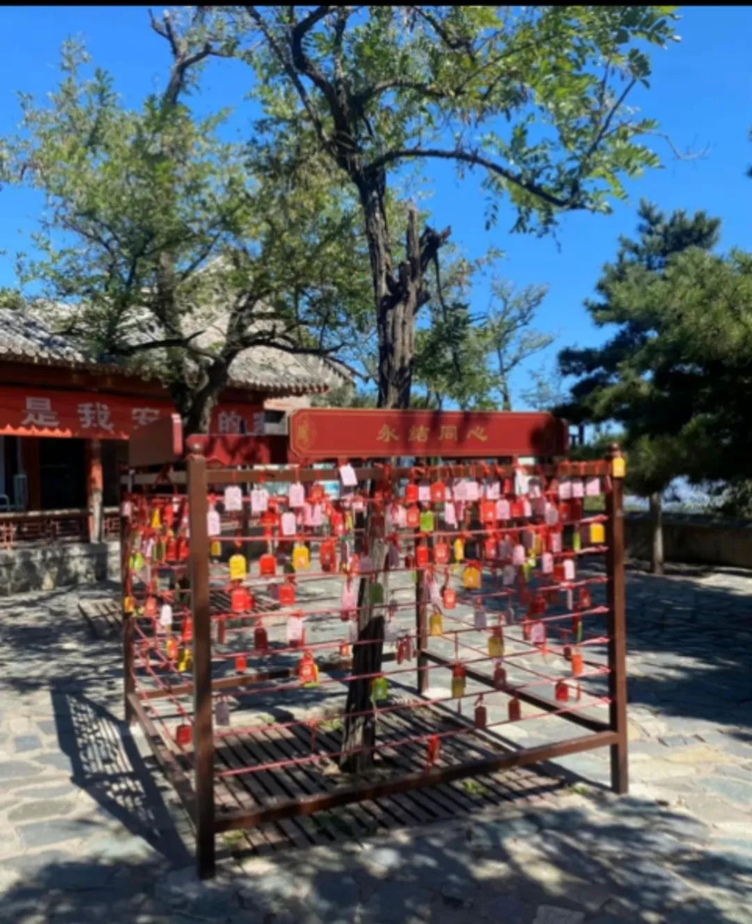维他奶的兔年限定祝福,从消费者的情绪出发传递小美好