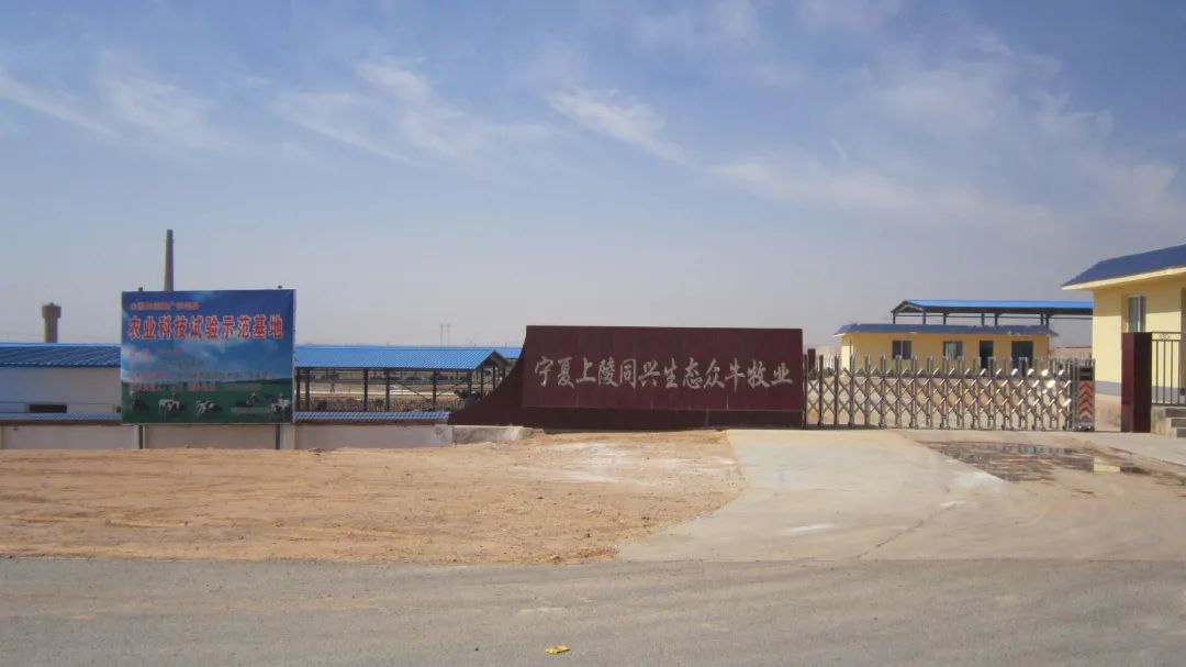 【年终盘点】宁夏上陵牧业:现8座牧场,近3万头奶牛