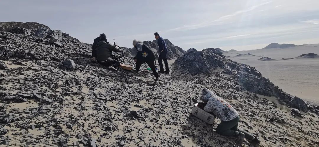 强势登陆央视,上海贵酒·君道贵酿携手陈建斌置顶新春营销声量