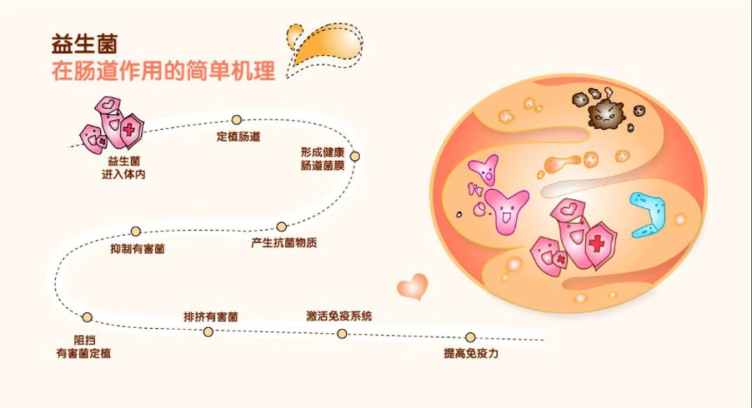 当免疫力成为硬通货，品牌该如何抓住万亿市场风口？