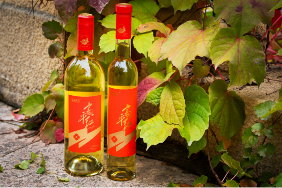 中国年,喝中国柿酒,唤醒“年”的记忆