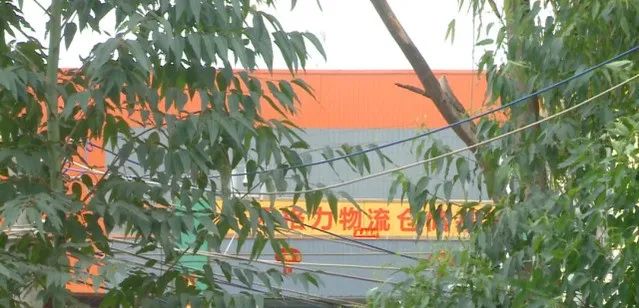 放烟花致1000多只鸡死亡，养殖户哭诉：损失8万多
