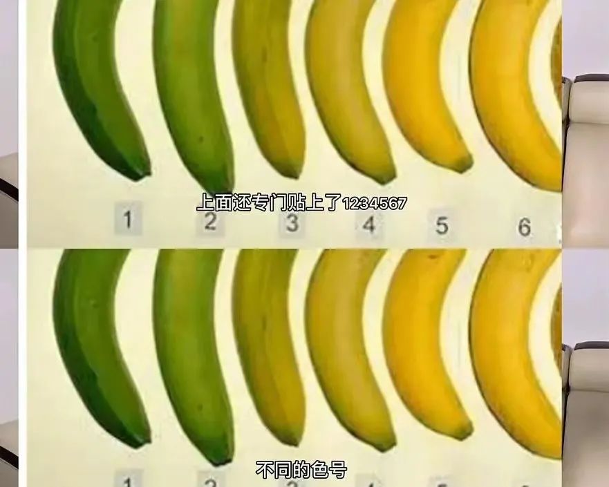 超市界的海底捞，为啥开不出河南