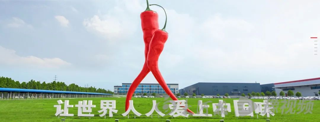 娄向鹏:河南食品企业要真正觉醒“品牌意识”