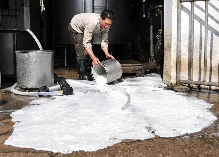 “倒奶杀牛”再现江湖？你怕是又被人忽悠了