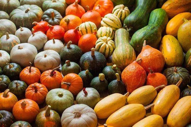 柚子、生姜、人参…谁是2022年度最受欢迎的食材？