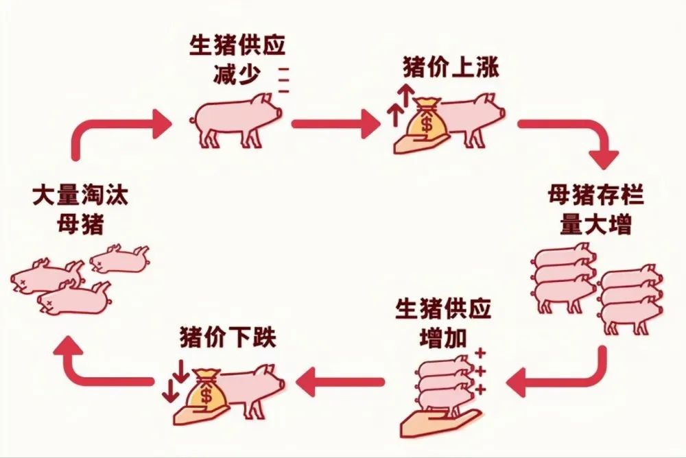 13家上市猪企出栏1.2亿头!生猪业是否已站上风口?