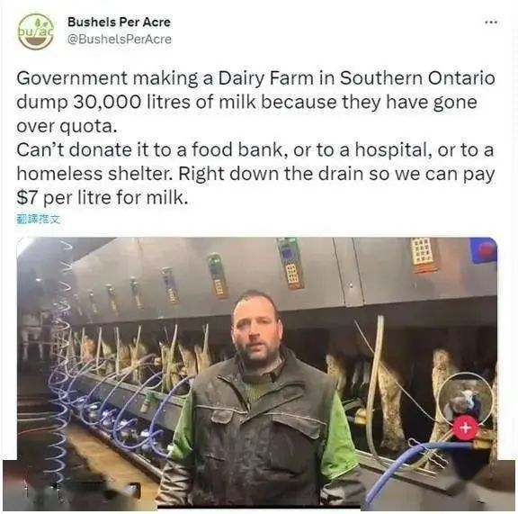 加拿大牛奶价格持续上涨