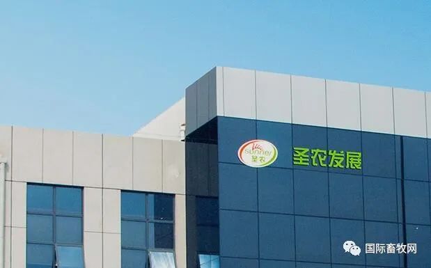圣农集团肉鸡品种“圣泽901”卖出173亿元