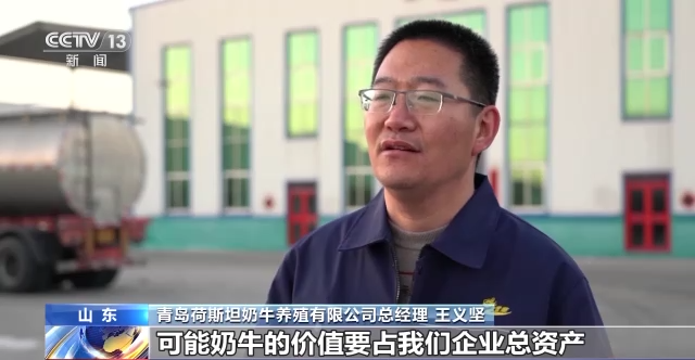 奶牛活体可贷款!央视再次聚焦莱西!