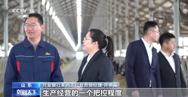 奶牛活体可贷款!央视再次聚焦莱西!