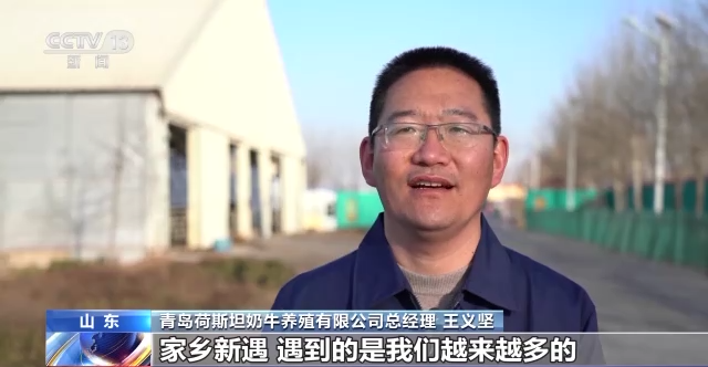 奶牛活体可贷款!央视再次聚焦莱西!
